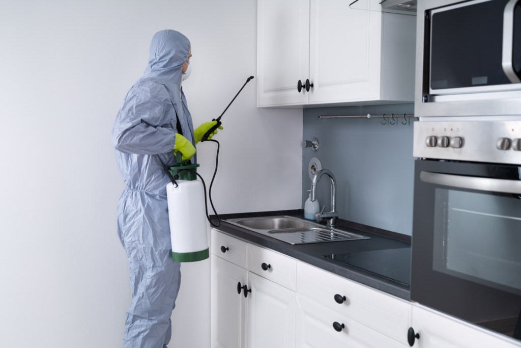 Pest Control Services Vaughan