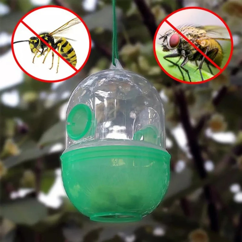 Hornet Control Richmond Hill