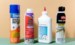 Apply a Hornet Spray