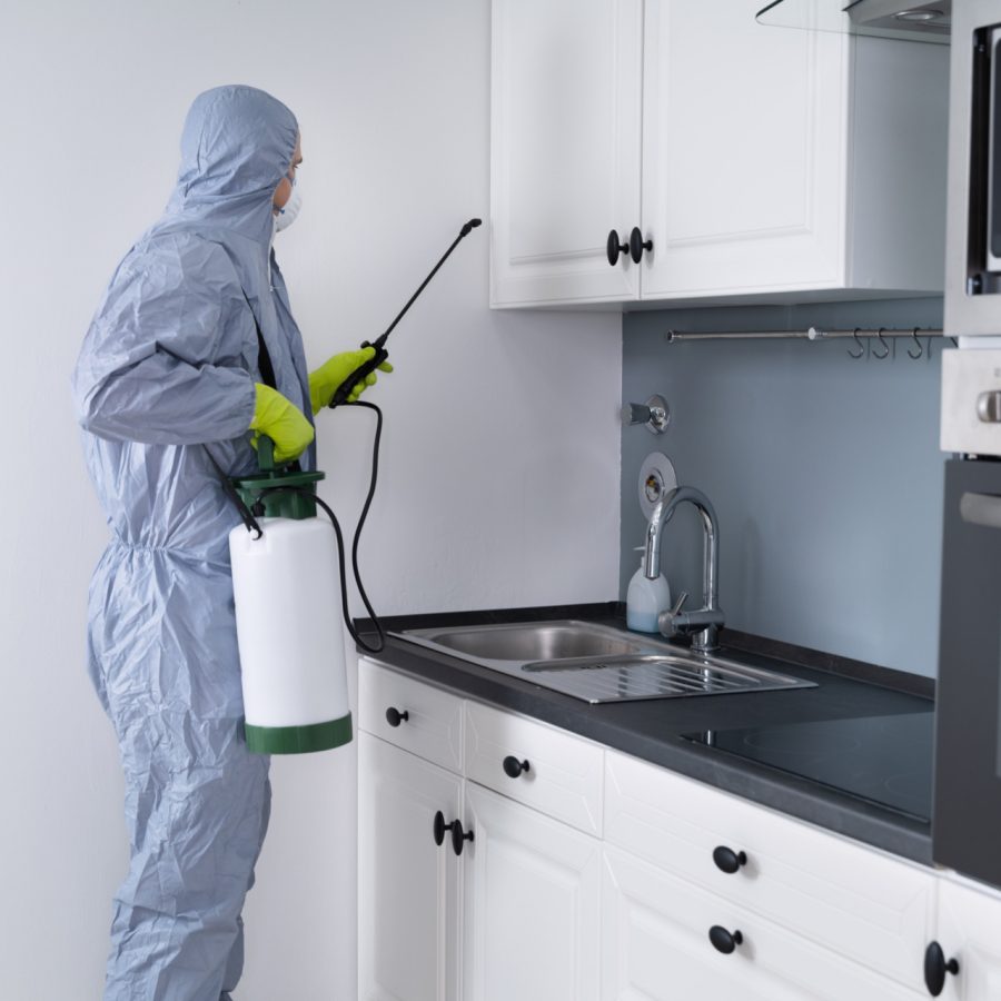 Pest Control Services Vaughan