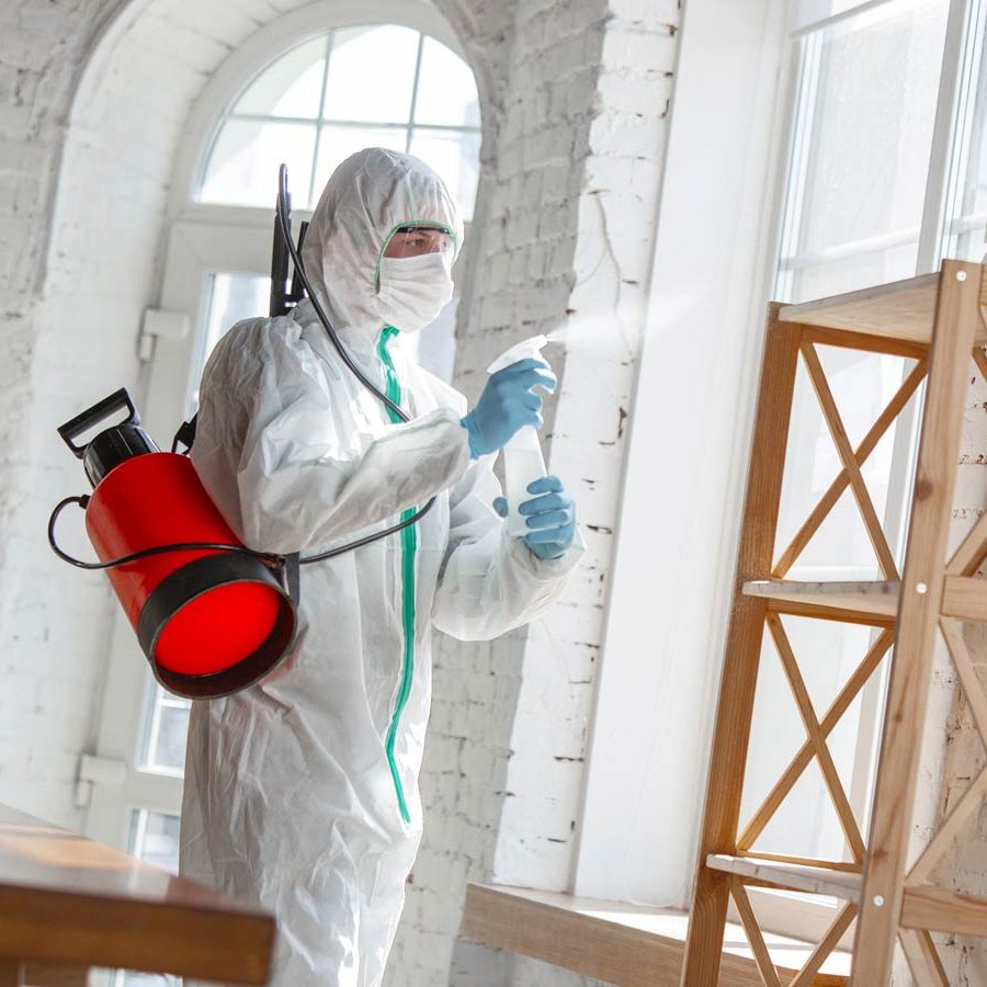 Pest Control Services King City, ON