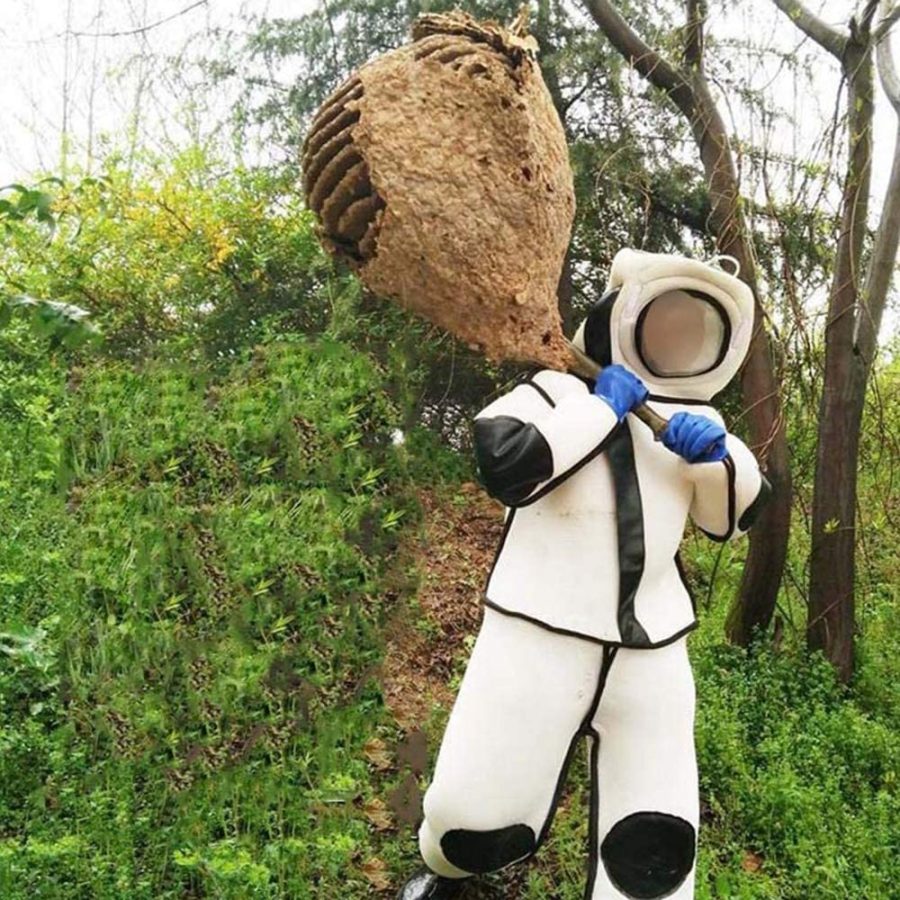 Pest Control Services Newmarket